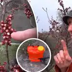 Het is belangrijk om het moment niet te missen: wanneer