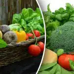 Hoe de oogst niet te verliezen: tuiniers gewaarschuwd wat niet