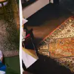 Hoe je een vuil tapijt opfrist zonder te stofzuigen in